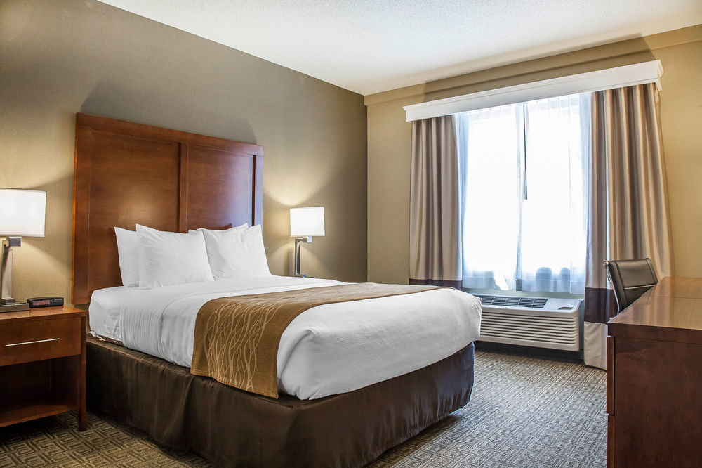 Comfort Inn & Suites Sturbridge-Brimfield エクステリア 写真
